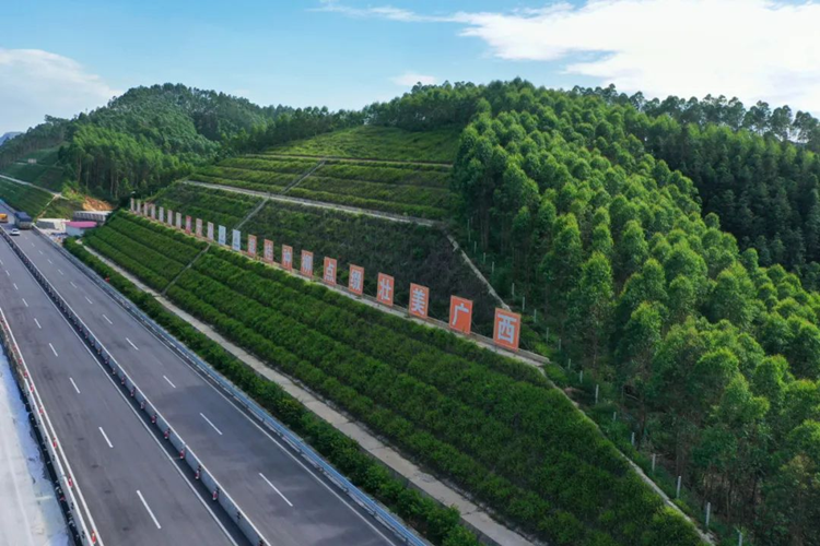 交安顿施组_副本 (1).png